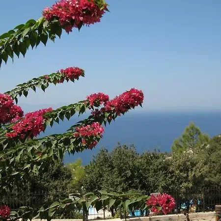 Villa Delphin Bodrum