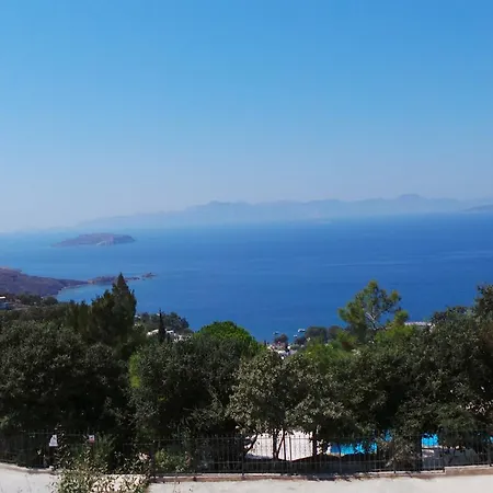 Delphin Bodrum