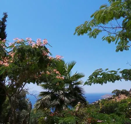 Delphin Villa