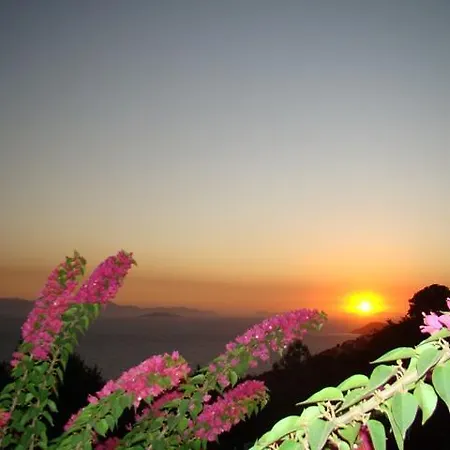 Delphin * Bodrum
