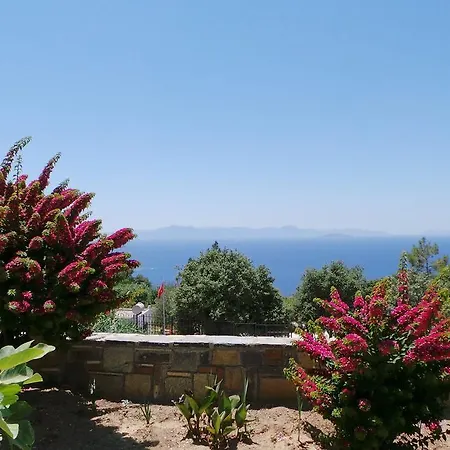 Delphin Αλικαρνασσός