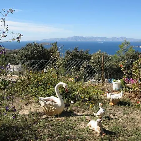 Delphin * Αλικαρνασσός